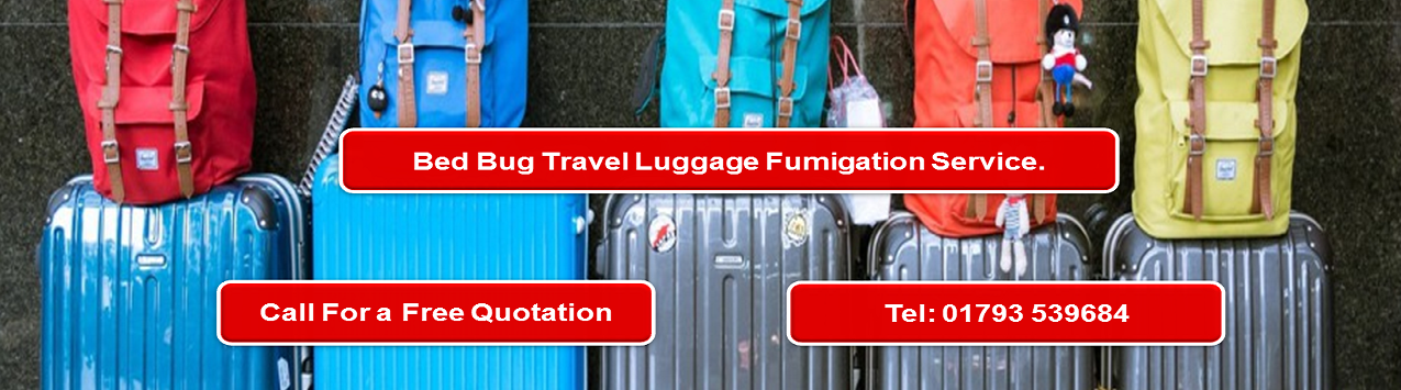 Bed Bug Heat Treatment Airport Luggage and back pack collection service.