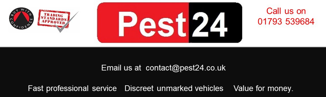 Pest24 Ltd logo